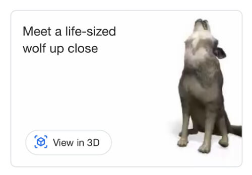 How to use Google’s 3D animals in augmented reality