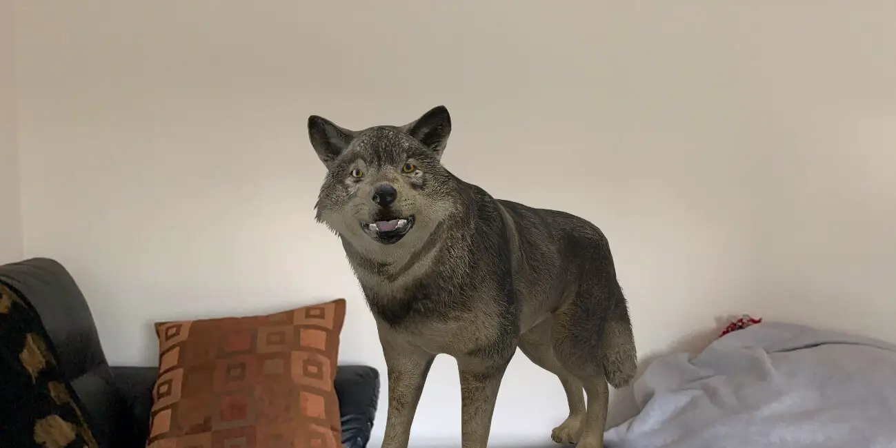 How to use Google’s 3D animals in augmented reality