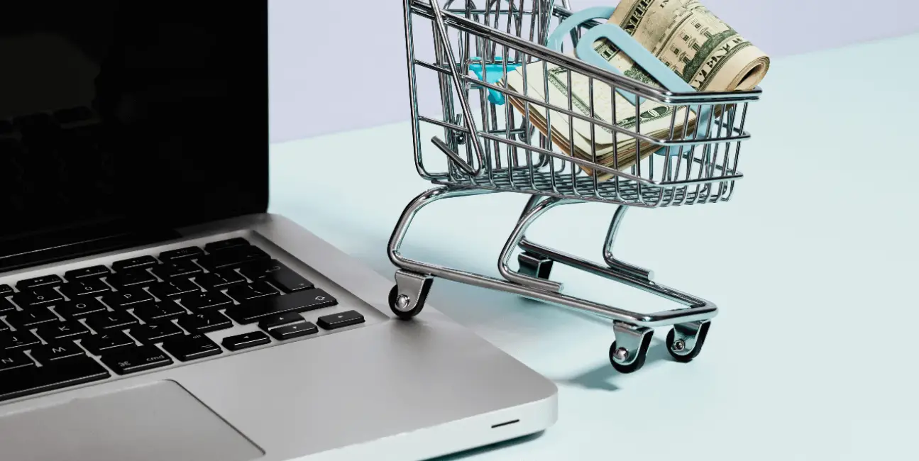 5 Tips To Launching Your Own E-commerce Application Business